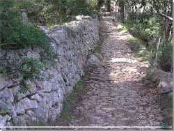 Mallorca. Typisk stykke sti fra The Dry-Stone Route