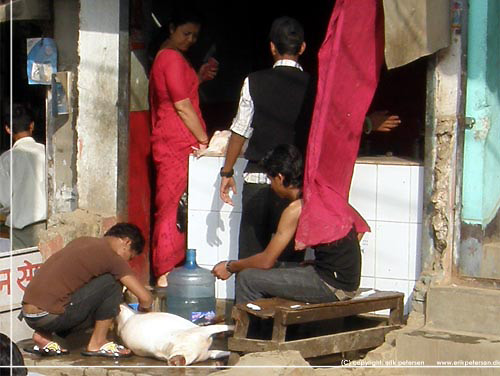 Vandretur i Nepal. Slagter i arbejde p fortovet foran sin butik i Kathmandu