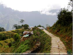 Nepal. P vej til Ghandruk. Den meget velholdte vej [Klik for et strre billede]