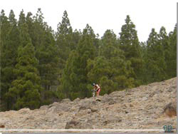 Gran Canaria. Af alle, dukkede en mountainbike rytter op p toppen. Godt nok et sejt folkefrd [Klik for strre foto]