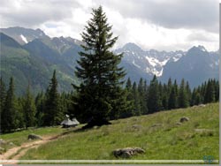 Snekldte Tatra bjerge i Slovakiet