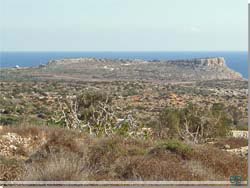 Cypern. Halvens spids og Kavo Greko set mod sydst [Klik for et strre billede]